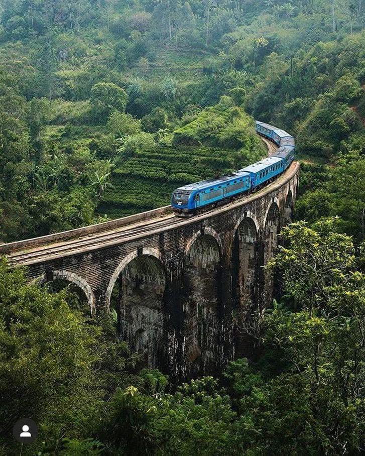 Ella Train
